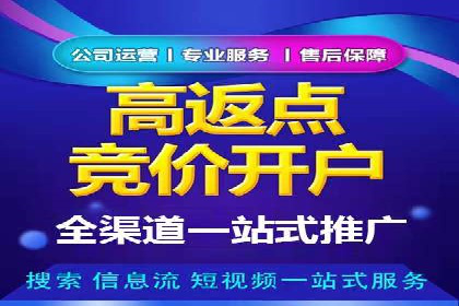 SEM代理实战：成功案例分享与经验总结